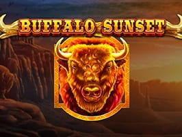 Buffalo Sunset thumbnail